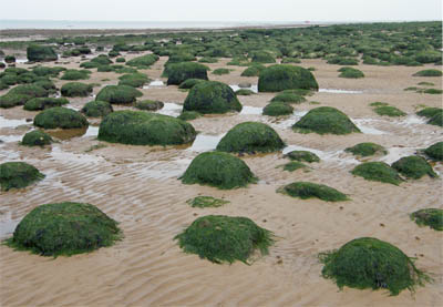 The foreshore at Hunstanton