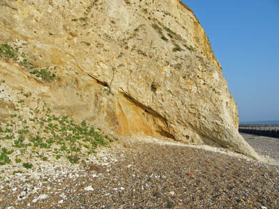 Chalk raft in the cliff at Sidestrand