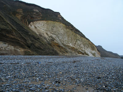 Chalk raft in the cliff at Sidestrand