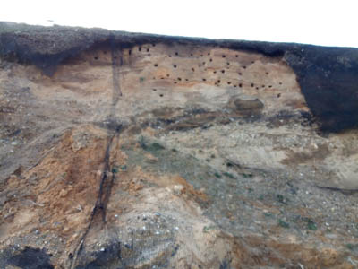 Cliffs near Bacton gas terminal