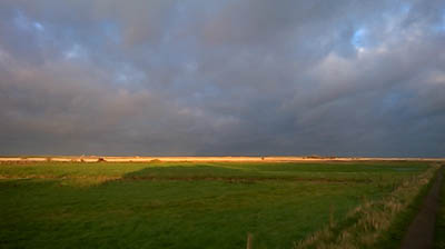 Drain with reeds at Cley